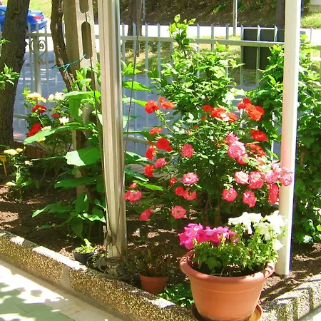 Lauda 3* רימיני